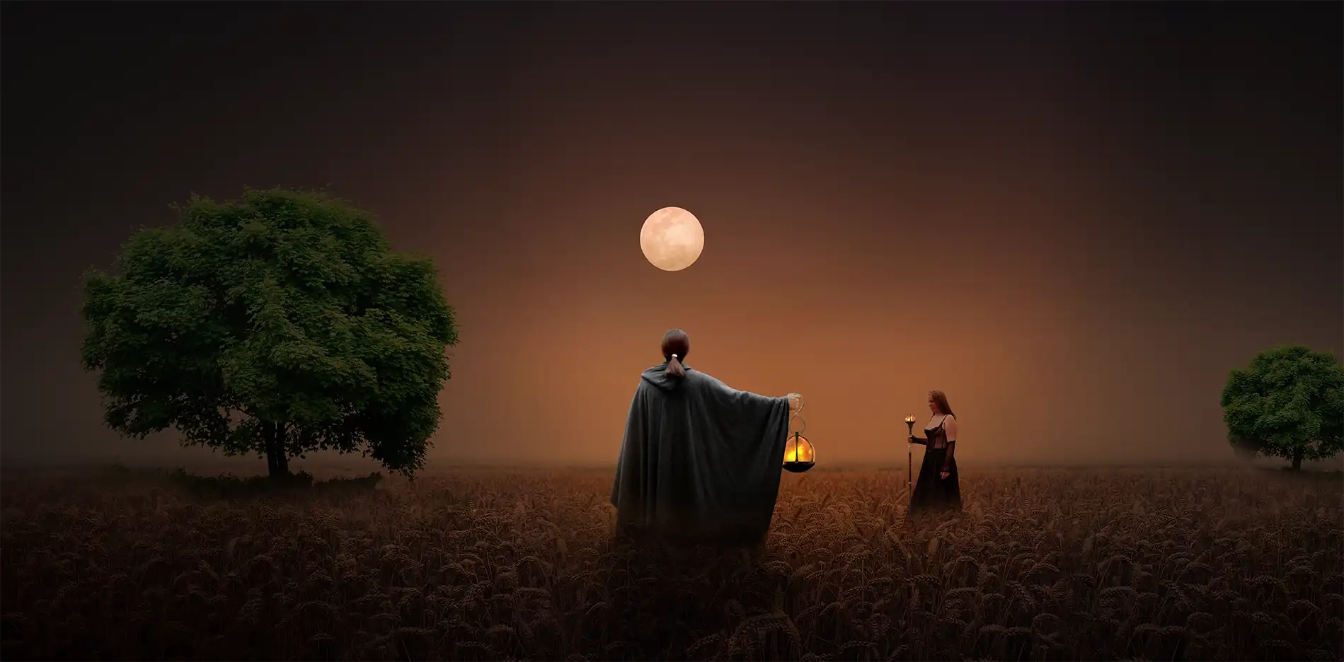 Cees Heijdel | Mystic Luna Dreamscapes-Array